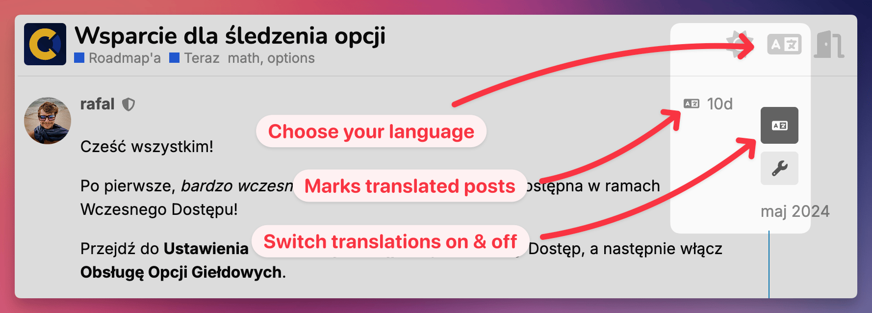 Screenshot of a user interface showing translation options, with arrows highlighting language selection and translation toggles.